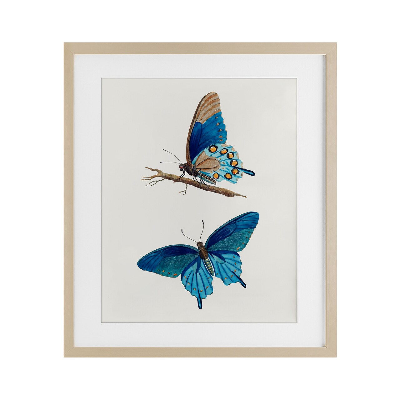 Stupell Industries Blue Butterflies Pair Framed Print Under Glass, design by Arlington Prints